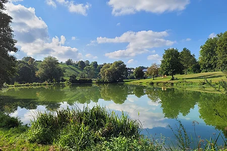 Ein Teich mit grüner Vegetation und Bäumen spiegelt sich im Wasser, unter blauem Himmel mit Wolken.